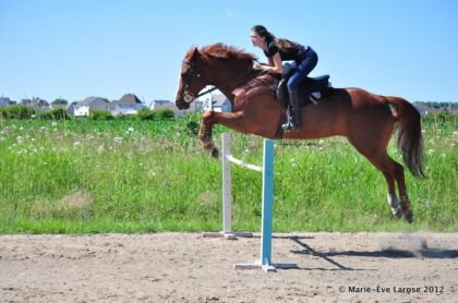 si vous trouver que mon cheval saute vrmt bien voter :D merci