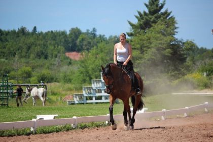 HUstle pour la premiere fois dans un carré de dressage!