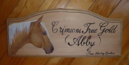 Nouvelle plaque de box pour Abby ! Par Jennifer Tremblay, ma...