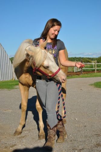 Horses have the power to make you happy only by looking at them...