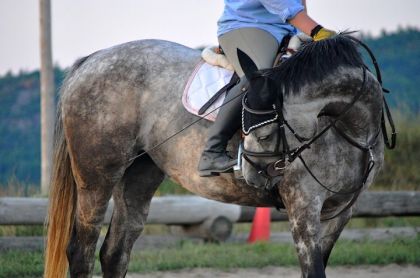 photo par smjumper**