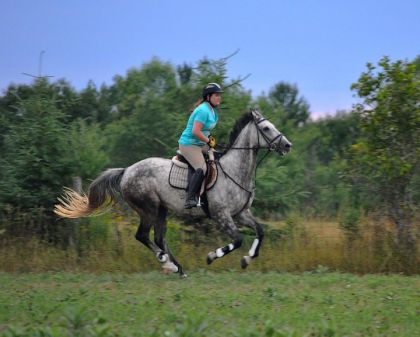 photo par smjumper**