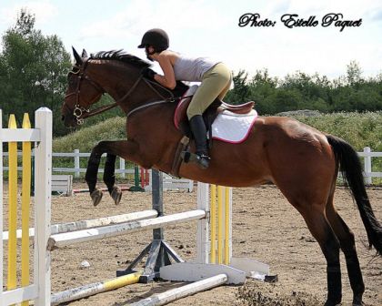 Killimanjaro et moi :)