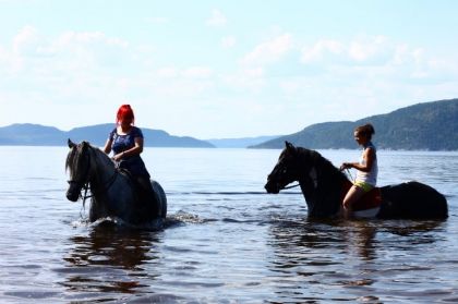 A cheval dans le fjord