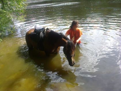 Premi&egrave;re baignade pour Loulou ! Hyper courageux ! Suis fi&egrave;re de...