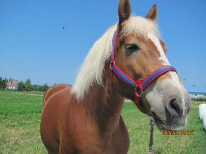 Ma belle Queen ! :) 