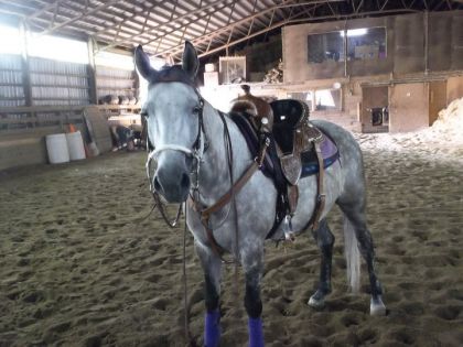 photo par skylee2