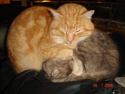 deux amoureux, tres tres collés!!! y faisait froid ce jour la!;)