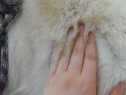 Sa c'était mon gros nounours cette hiver <3 :)