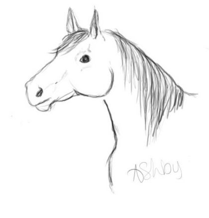 premier petit croquis fait avec ma nouvelle tablette graphique..