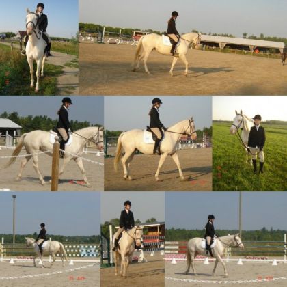 Montage de quelques photos de notre compétition
