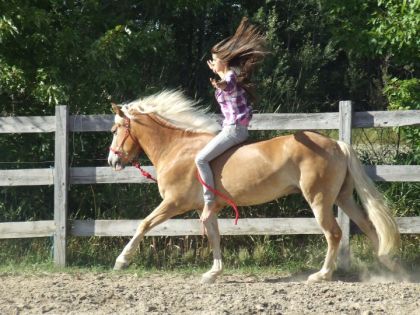 Dire que voila 3mois je n'arrivais meme pas a faire de galop en...