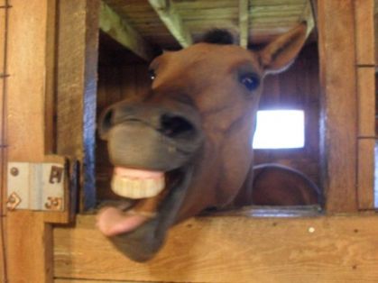 Ma Pouishe qui fait des grimaces !