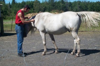 beau gros colleux 