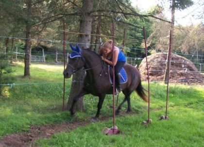 Cadence et moi  dans les branche basse :)