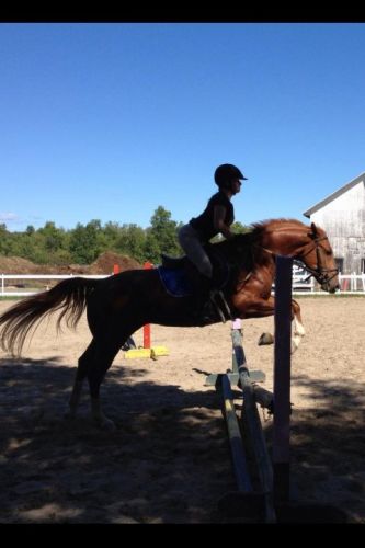 photo par annejuee. j'aime mon poney ♥