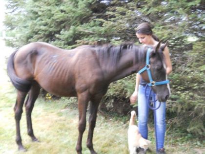 Painted Quincy Robin 1 ans 3mois , pr une fois que j`ai l`aire...