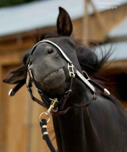 photo par 3allures Voici Black !