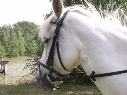 Shooting photo Lise a coter de l'étangs :) <3