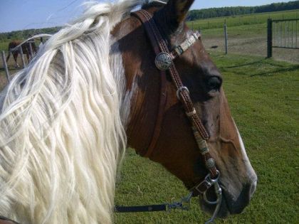 mon beau chico :)