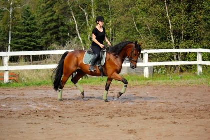 Hustle rechauffement au saut
