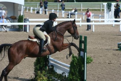 JEQ 2012