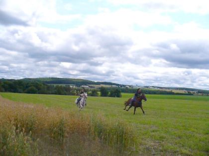Une petite course? Doc's VS Mia!Le mien c'est le brun!