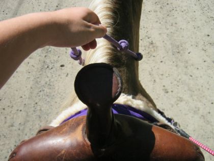 photo par Jennifer_M Ma jolie selle :) avec mes guide et mon tapis mauve :D