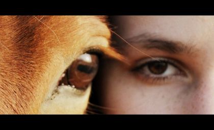 you & me , photo d'émmy girard