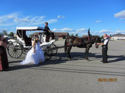 Notre calèche, mon cheval, notre mariage de rêve! :O)