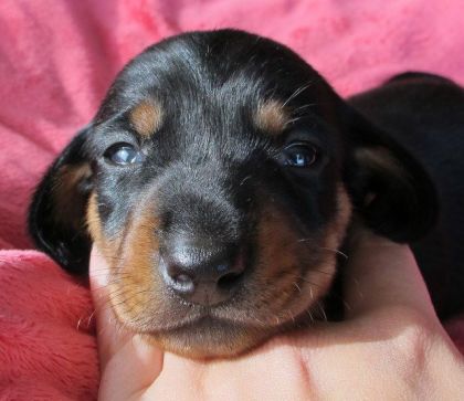 Wrangler :) <3 