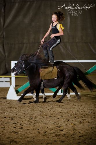 Spectacle Innocenti au gala du poney club de Blainville
