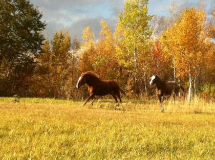 Une photo que j'adore... Les couleurs sont vraiment belles!