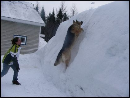 Ça aussi du bon les bancs de neige de 10 pieds!!! lol (voir...