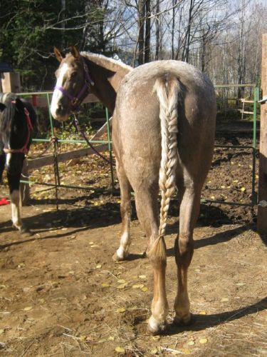 Une jolie tresse francaise pour une belle princesse :)