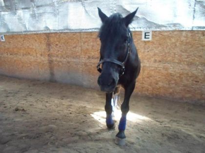 mon ptit curieux :)