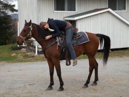 Romeo le cheval a mon petit frère et moi