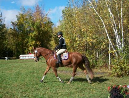 Nous 2 au réchauffement avant le parcours de cross. Fun show de...
