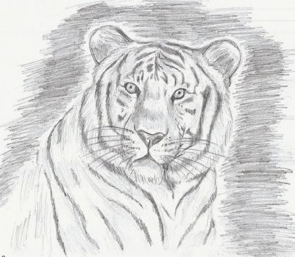 Je vient de retrouver quelques un de mes dessins.