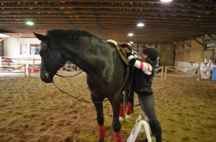Premier cours avec XO <3