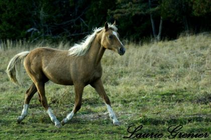 photographie