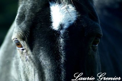 photographie