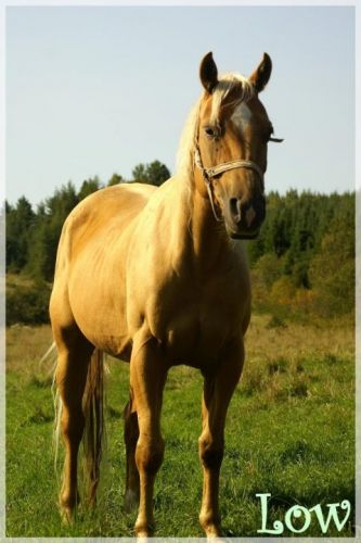 photographie