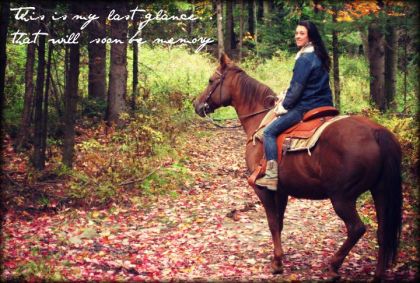 Automne 2012- Ginger