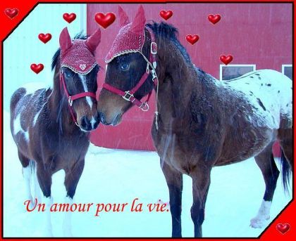Rien de plus romantique qu'une belle petite neige de février.