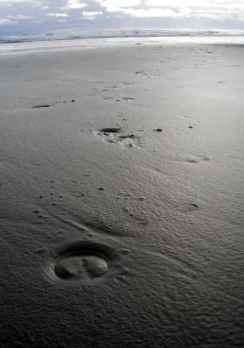 une photo que j'ai pris en allant a la plage, je l'aime bien :)