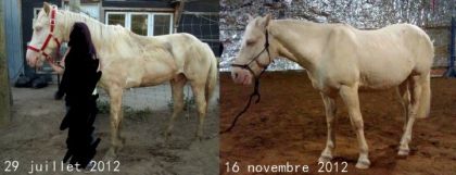 Petit update de son évolution!