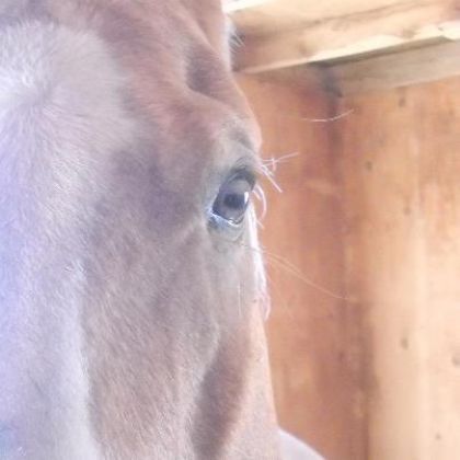 photo par passion31 Oeil de la sagesse! <3