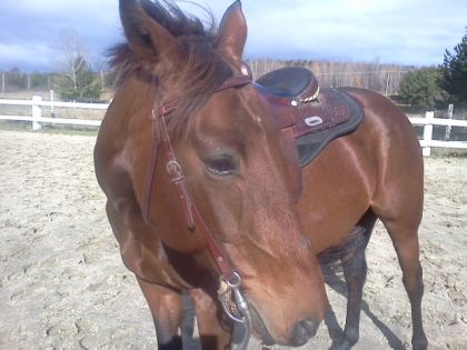 ma belle Maly