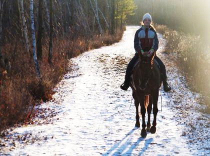 J'adore cette photo ! Petite trail dans la mince couche de...